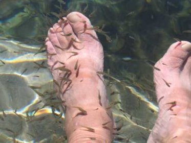 Santo Niño Cold Spring Santo Niño Cold Spring